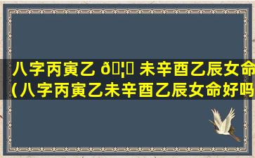 八字丙寅乙 🦟 未辛酉乙辰女命（八字丙寅乙未辛酉乙辰女命好吗）